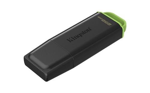 PENDRIVE KINGSTON EXODIA DTX 256GB - USB 3.2 Gen 1 Tipo A - Negro/Verde