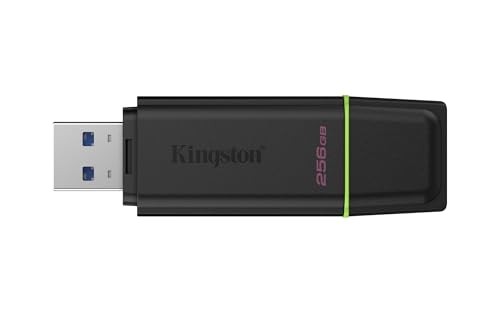 PENDRIVE KINGSTON EXODIA DTX 256GB  USB 3.2 GEN 1 USB-A NEGRO CON VERDE