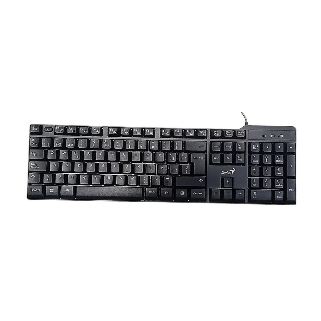 TECLADO GENIUS KB-100X CON CABLE USB 