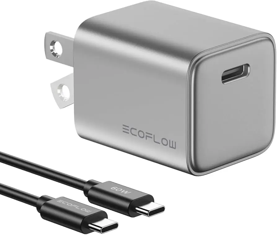 CARGADOR + CABLE ECOFLOW 20W GAN S-TR-321A-1C20-US TIPO C A TIPO C 