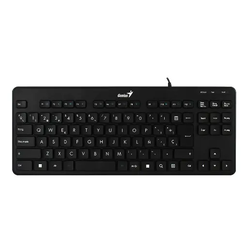 TECLADO GENIUS LUXEMATE 110 USB NEGRO  